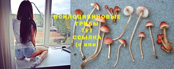 кокаин колумбия Аркадак