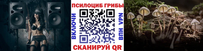 Галлюциногенные грибы GOLDEN TEACHER  где найти наркотики  Дудинка 